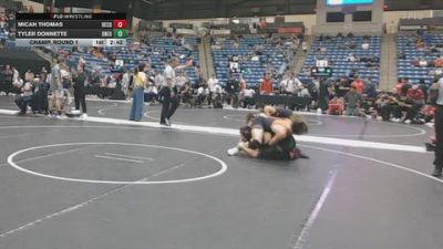 149 lbs Champ. Round 1 - Micah Thomas, Benedictine College vs Tyler Donnette, Doane University