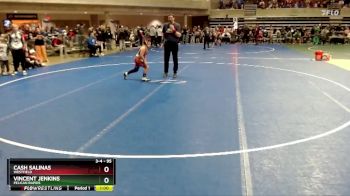 95 lbs 5th Place Match - Vincent Jenkins, Pelican Rapids vs Cash Salinas, Westfield