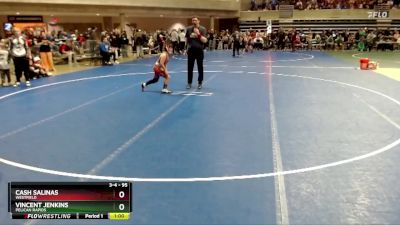 95 lbs 5th Place Match - Vincent Jenkins, Pelican Rapids vs Cash Salinas, Westfield