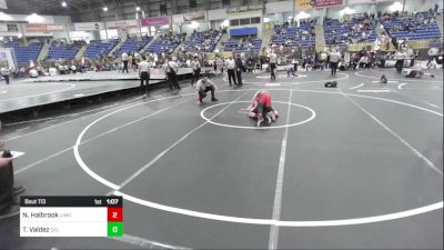 113 lbs Final - Nolan Halbrook, Limon Badgers vs Tristan Valdez, Del Norte