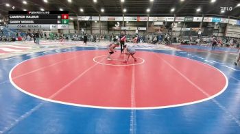138 lbs Cons. Round 2 - Cameron Halbur, BHRV Nighthawks vs Gabby Werdel, Miller AAU