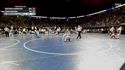 117 lbs Round Of 16 - Grayson Hostetter, Oxford vs Gavin Bricker, Trinity
