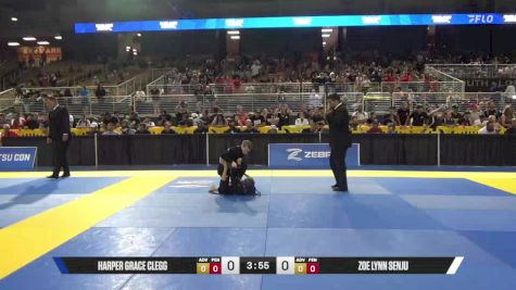 Cambria Christiana Levinson vs Harper Grace Clegg 2025 Pan Kids Jiu-Jitsu IBJJF Championship