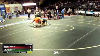 120 Class 3 lbs Quarterfinal - Reign Creech, Hannibal vs Caden Hulett, Platte County