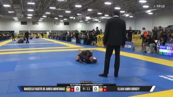Elijah Amir Dorsey vs Marcelo Fausto De Abreu Montanag 2026 Pan IBJJF Jiu-Jitsu No-Gi Championship