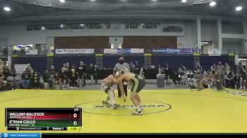 215 lbs Finals (4 Team) - Ethan Gallo, Minisink Valley vs William Balitsos, Wantagh Sr High