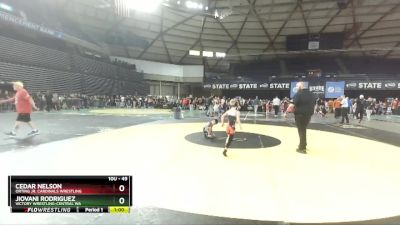 49 lbs Cons. Semi - Cedar Nelson, Orting Jr. Cardinals Wrestling vs Jiovani Rodriguez, Victory Wrestling-Central WA