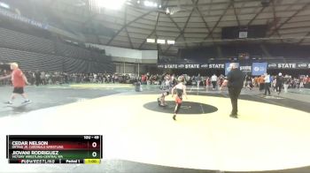 49 lbs Cons. Semi - Cedar Nelson, Orting Jr. Cardinals Wrestling vs Jiovani Rodriguez, Victory Wrestling-Central WA