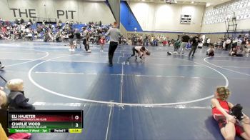 80 lbs Quarterfinal - Eli Haueter, Champions Wrestling Club vs Charlie Wood, Bear River Wrestling Club