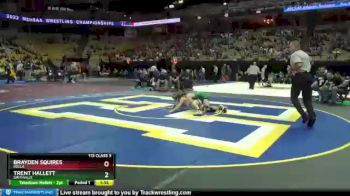 113 lbs Champ. Round 1 - Trent Hallett, Smithville vs Brayden Squires, Rolla