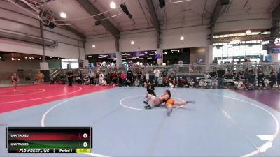 185 lbs Round 1 - Bristol Riker, Texas Elite Wrestling Club vs Calie Wright, Bar None Wrestling