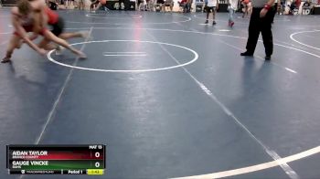 155 lbs Cons. Round 2 - Aidan Taylor, Branch County vs Gauge Vincke, Rams
