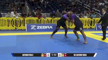 Ike Anthony Okoli vs Antonio Pena II 2025 Pan IBJJF Jiu-Jitsu No-Gi Championship