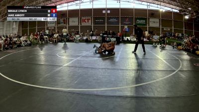 138 lbs Mikale Lynch, South Carolina vs Jake Amiott, North Carolina