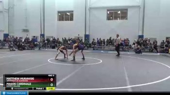 133 lbs Champ. Round 1 - Mason Cardinale, Elmira College vs Matthew Murawski, University Of Scranton