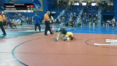 165 lbs Quarterfinal - Lucas Boe, Lake Highland Preparatory School vs Zack Aquila, Brecksville