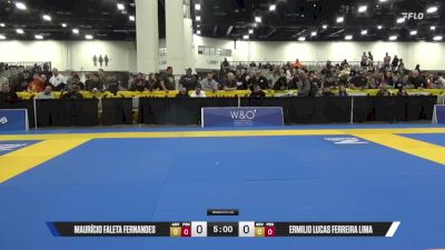 Ermilio Lucas Ferreira Lima vs Maurício Faleta Fernandes 2025 World IBJJF Jiu-Jitsu No-Gi Championship