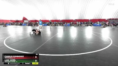 106 lbs Round 1 (6 Team) - Charles Dominguez, Vernon Hills vs Luke Hamel, Wisconsin Rapids