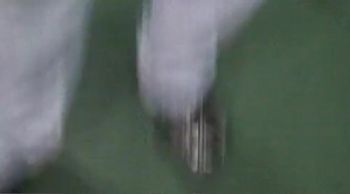 Brentwood Coach- Ralph Napalitano