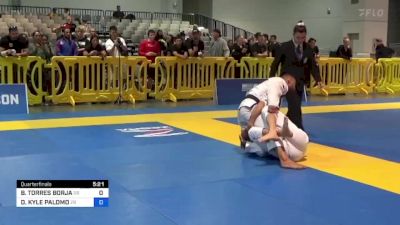 BERNARDO TORRES BORJA vs DREW KYLE PALOMO 2023 American National IBJJF Jiu-Jitsu Championship