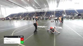 50 lbs Quarterfinal - Cheyenne Pina, Way Out West vs Elle Transfiguracion, Reign WC
