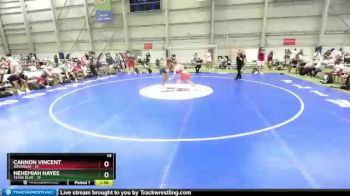 152 lbs Placement Matches (8 Team) - Cannon Vincent, Arkansas vs Nehemiah Hayes, Texas Blue