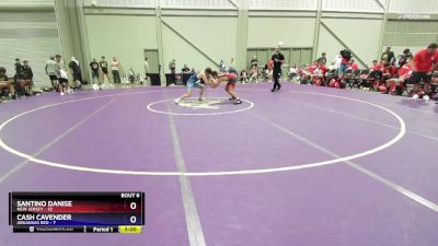 132 lbs Round 1 (16 Team) - Santino Danise, New Jersey vs Cash Cavender, Arkansas Red