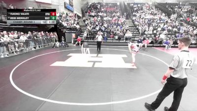 5A 215 lbs Champ. Round 1 - Tuiono Valeti, Springville vs Reid Merkley, Wasatch