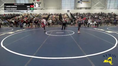 116 lbs Champ. Round 1 - Cole Randle, NWAA vs Aiden Garcia, Black Belt Wrestling Academy