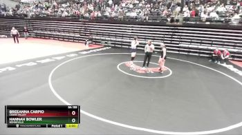 5A 155 lbs Quarterfinal - Hannah Bowler, Bonneville vs Breeanna Carpio, Cedar Valley