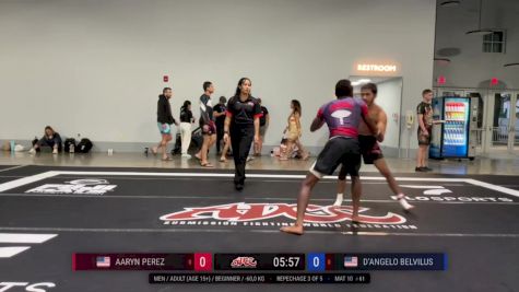 Aaryn Perez vs D'Angelo Belvilus 2024 ADCC Miami Open