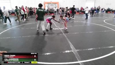 65/70/75 Round 3 - Cali Anderson, Summerville Takedown vs Maya Chhim, Dorman Youth