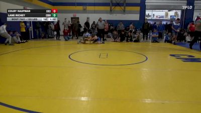 133 lbs Semifinal - Colby Kaufman, Chestnut Ridge vs Lane Richey, Connellsville