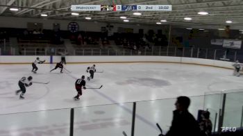 Replay: Home - 2024 Havoc vs Moose | Feb 18 @ 5 PM