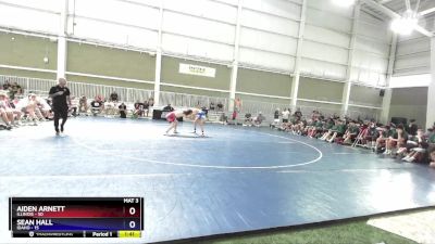 138 lbs Semis & 1st Wrestleback (8 Team) - Aiden Arnett, Illinois vs Sean Hall, Idaho