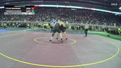 D1-215 lbs Quarterfinal - Brandon Glisson, Davison HS vs Tyler Meeuwsen, East Kentwood HS