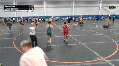 113 lbs Quarterfinal - Paden Alyea, Skyline vs Jaxten DeWeese, Empyre