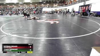 174 lbs Cons. Round 2 - Tyson Barnhart, Southeastern vs Esteban Sedano, Hastings (Neb.)