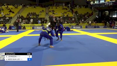 ERIK JOHNSON vs JOSEPH WOO SUN LEE 2024 Master International IBJJF Jiu-Jitsu North American Championship