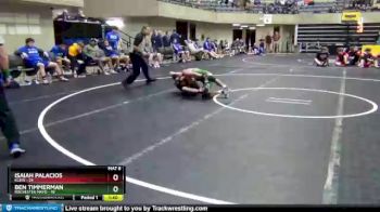 132 lbs Semifinals (8 Team) - Isaiah Palacios, Klein vs Ben Timmerman, Rochester Mayo