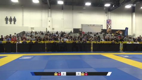 Bobby Phan Ngo vs Brian J Taraszka 2024 World IBJJF Jiu-Jitsu No-Gi Championship