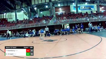 113 lbs Round 1 (3 Team) - Tyler Haneborg, North Platte vs Henry Kriegler, Papillion-LaVista South