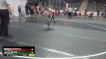 65 lbs Cons. Round 3 - Brindley Mazzulla, Team Nebraska vs Freyda Nelson, Team Minnesota