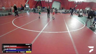 92 lbs Round 3 - Parker Madison, MN vs Caleb Cushman, IL