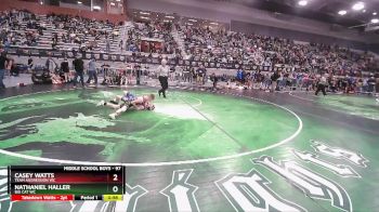 97 lbs Cons. Round 2 - Nathaniel Haller, Big Cat WC vs Casey Watts, Team Aggression WC