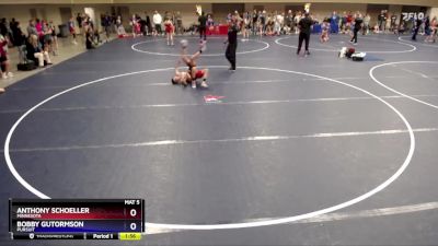 102 lbs Quarterfinal - Anthony Schoeller, Minnesota vs Bobby Gutormson, Pursuit