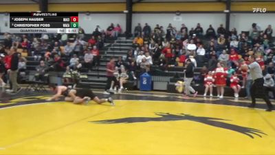 215 lbs Quarterfinal - Joseph Hauser, Mason City vs Christopher Foss, Waterloo East