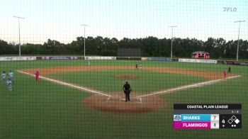 Replay: Home - 2024 Sharks vs Flamingos | Jun 18 @ 7 PM