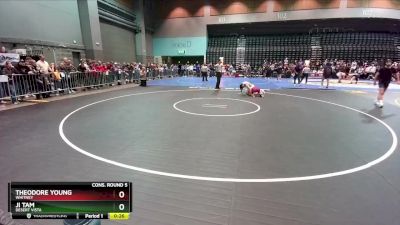 132 lbs Cons. Round 5 - Theodore Young, Whitney vs Ji Tam, Desert Vista