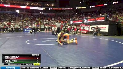 1A-113 lbs Champ. Round 2 - Cason Fitch, Colfax-Mingo vs Cael Morrow, Akron-Westfield